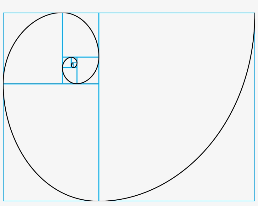 The Golden Spiral Is About Placement And Flow Of The - Golden Spiral, transparent png download