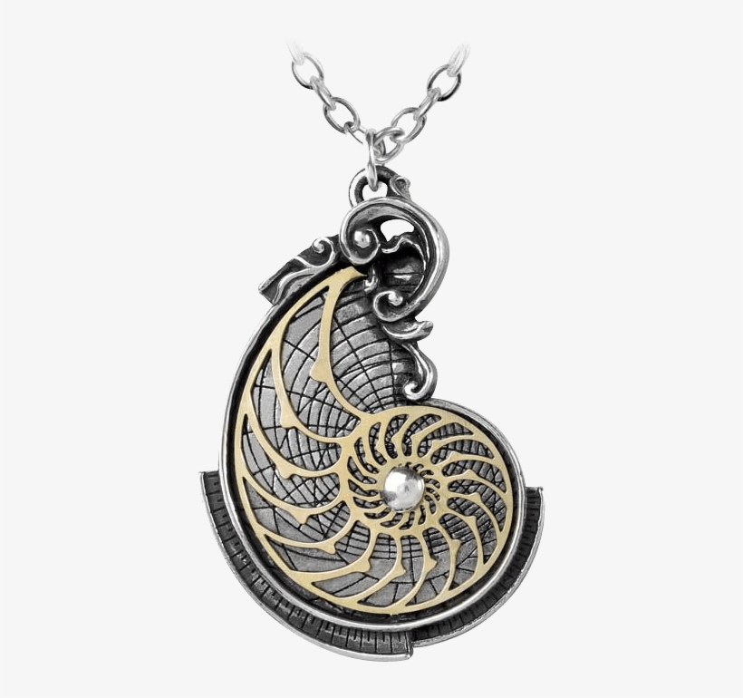 Fibonacci Golden Spiral Pendant - Fibonacci Golden Spiral Pewter Necklace, transparent png download