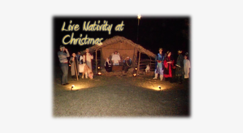 36 Pm 905538 Maus Iii Port 1a 7/22/2014 - Night, transparent png download