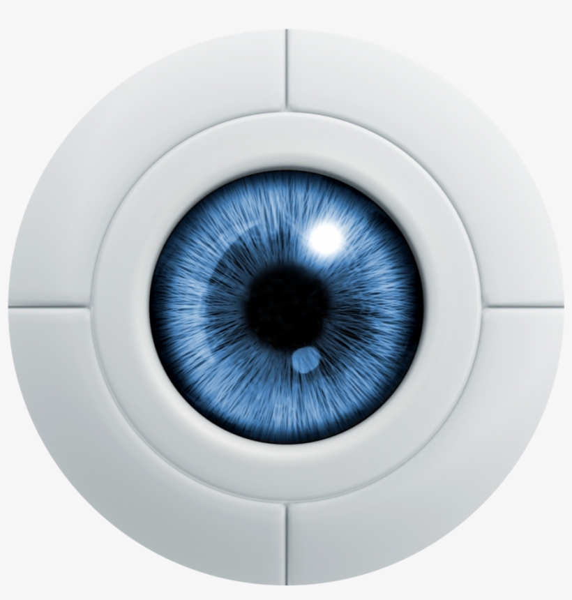 Report Abuse, transparent png download
