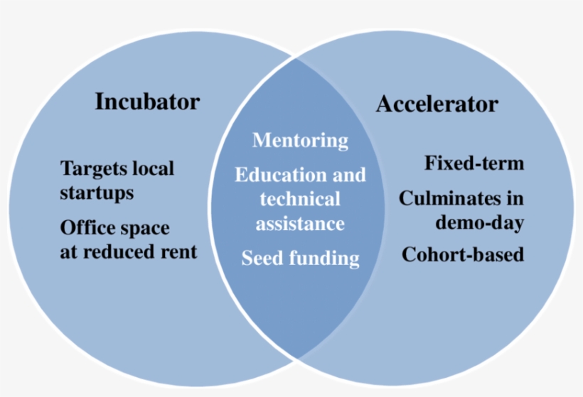 Venn Diagram Of Incubator And Accelerator Characteristics - Accelerator Incubator, transparent png download