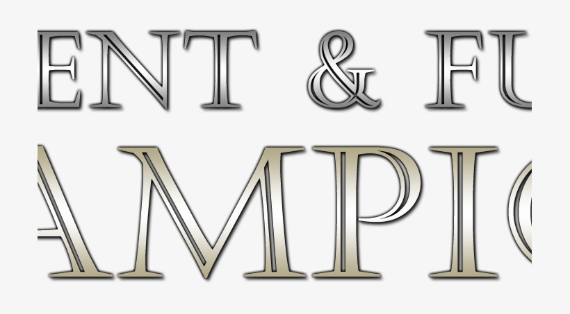 Wwe's Current Champions & Future Champions Predictions, transparent png download