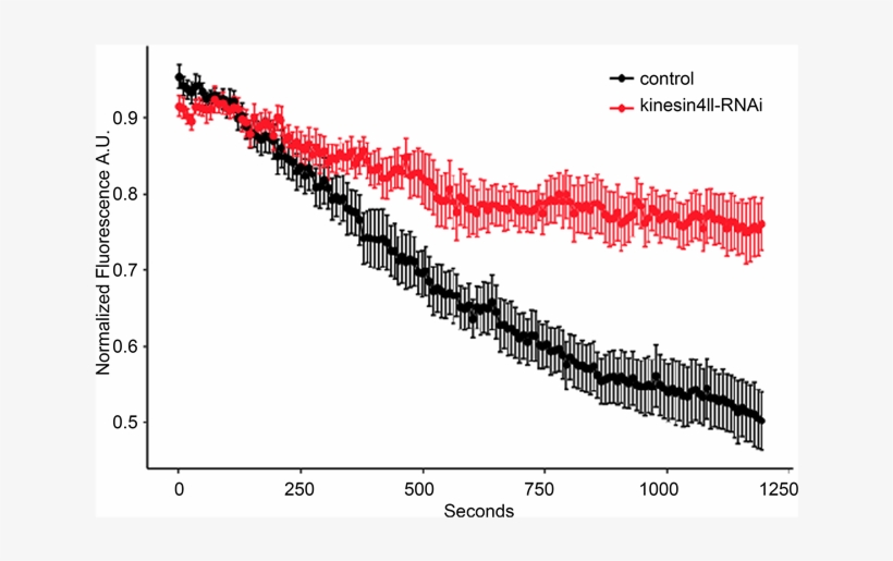 Quantification Of Chloroplast Dynamics During The Light - Plot, transparent png download