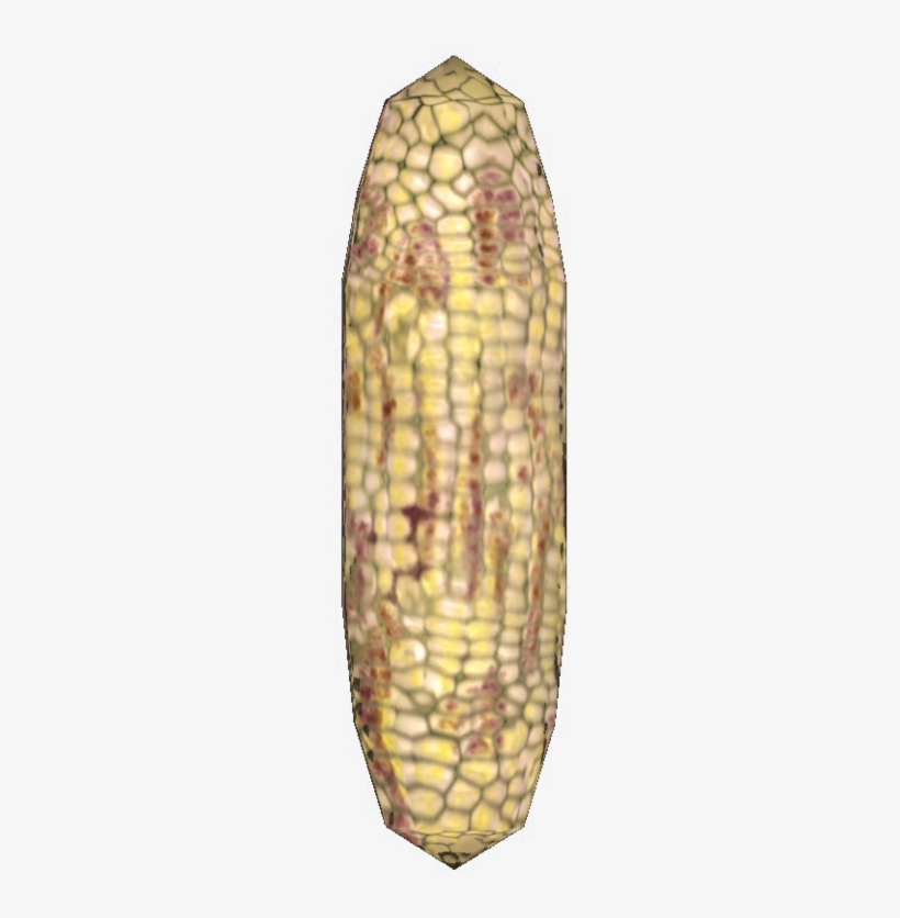 The Vault Fallout Wiki - The Vault, transparent png download