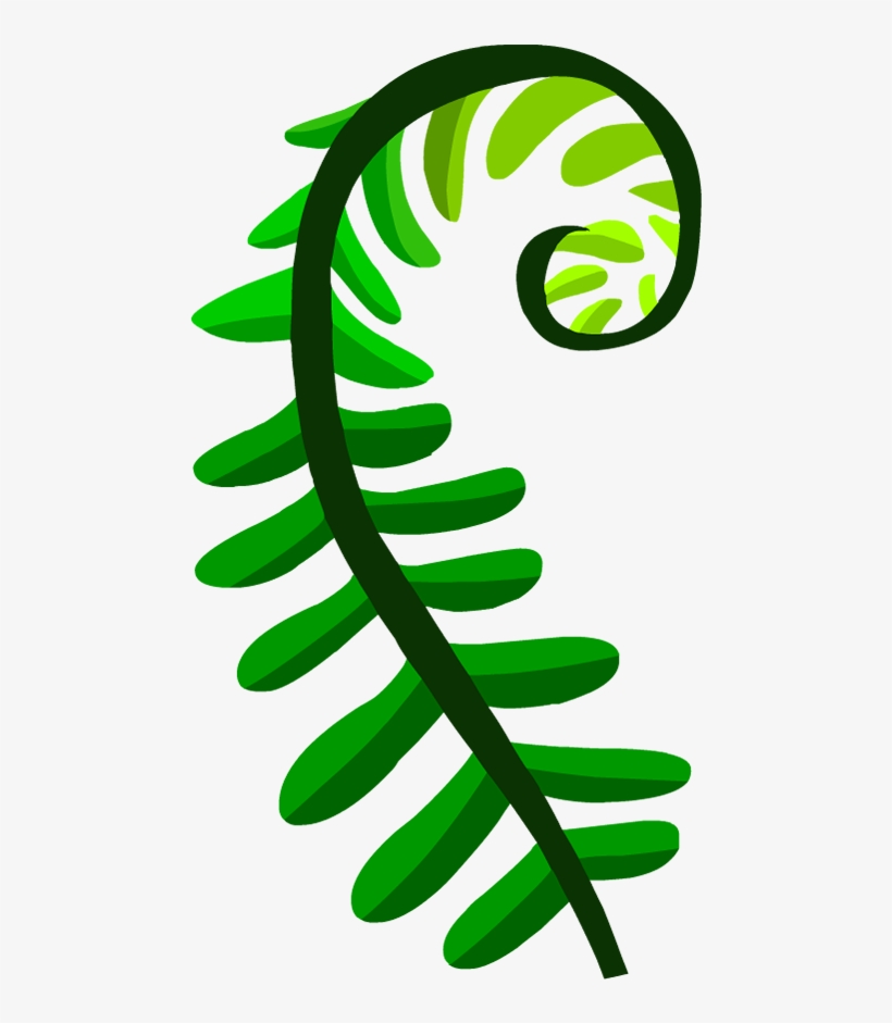 Seedless Plants - Illustration, transparent png download