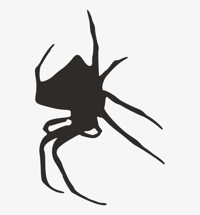 Color Spider Silhouette Png, transparent png download