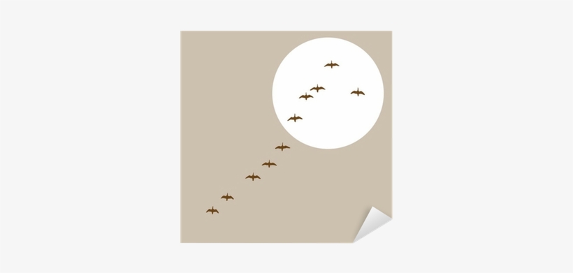 Flying Ducks Silhouette On Solar Background Sticker - Fugle I Flok Jørgen Jørgensen Bog, transparent png download