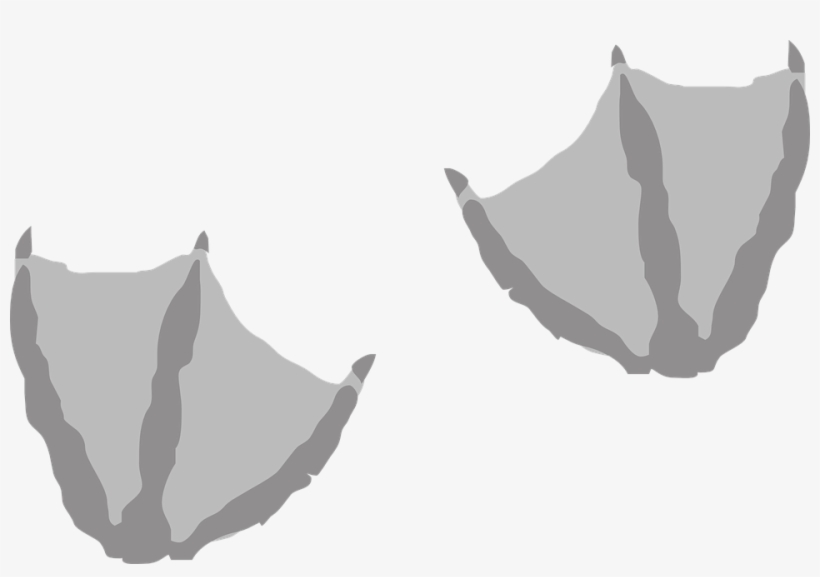 Png Duck Feet Transparent Duck Feet - Duck Footprint, transparent png download