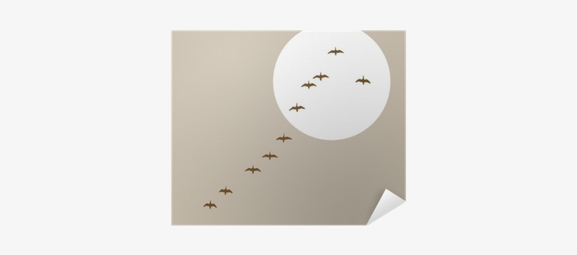 Flying Ducks Silhouette On Solar Background Poster - Bat, transparent png download