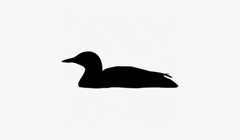 Silhouette - Yellow-billed Loon, transparent png download