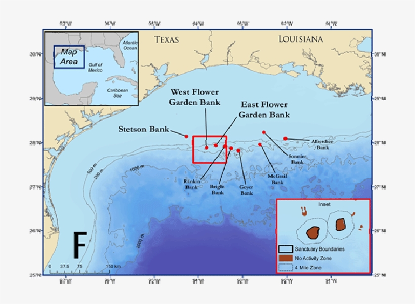 Western Gulf Of Mexico And The Location Of The Flower - Flower Garden Bank Sanctuary, transparent png download