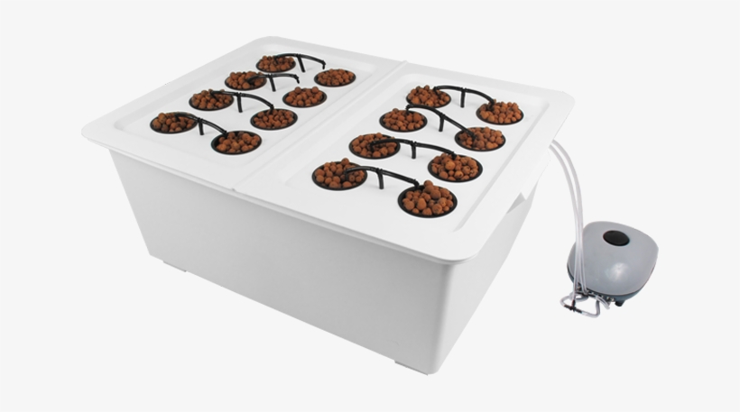 Deepwater Culture - Coco Coir Hydroponics System, transparent png download