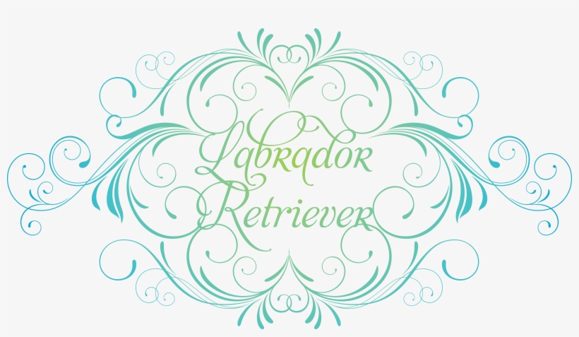 Dallas Oregon Florist A You Can Trust Elegant Designs - Russian Toy Sticker (oval), transparent png download