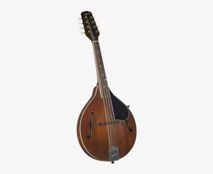 Kentucky Km 156 Standard A Model Mandolin - Kentucky Km 156 Mandolin, transparent png download