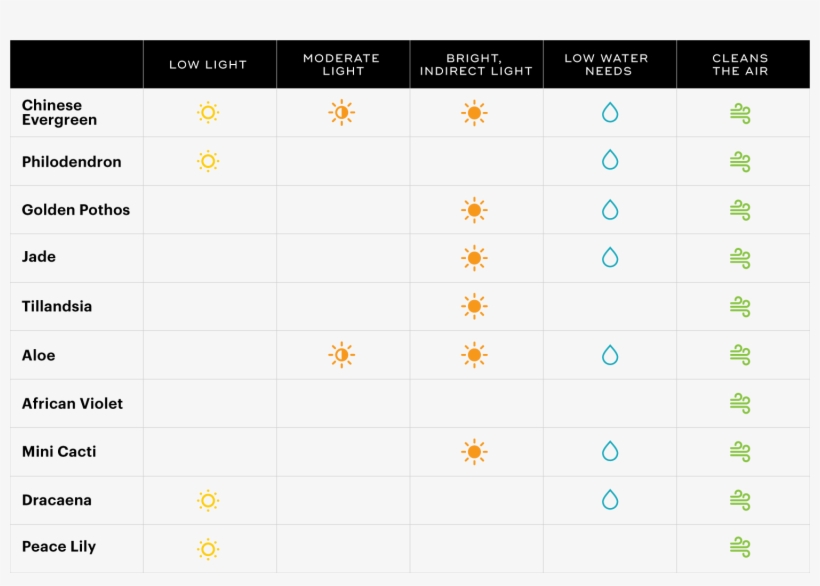 Office Plant Care Guide - Calendar, transparent png download