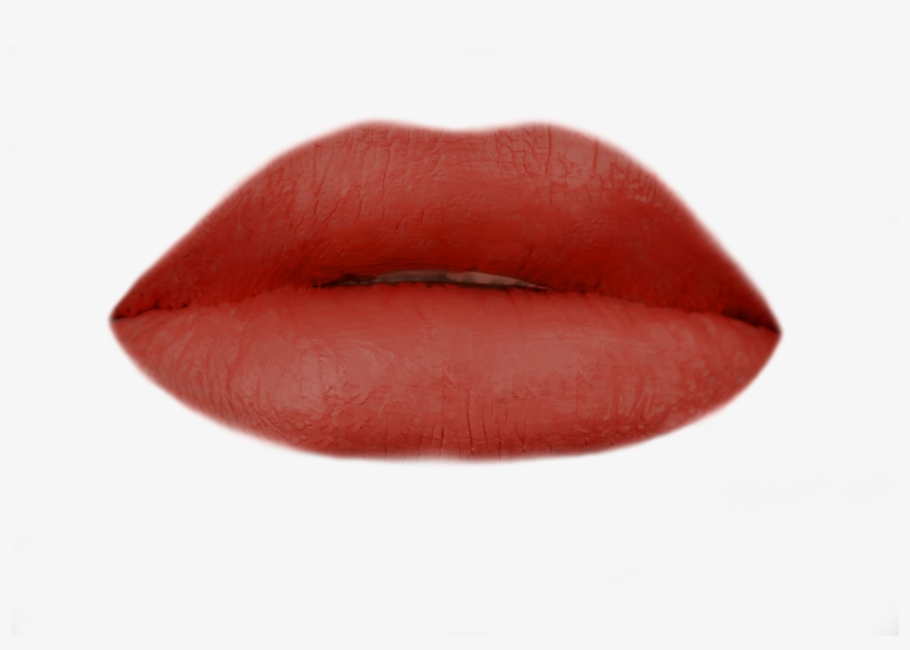 Zoom Images - Macro Photography, transparent png download