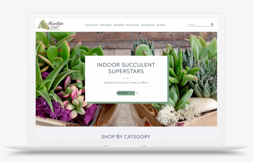 Mountain Crest Gardens Orders Bloom 400% After Migration - Plants, transparent png download
