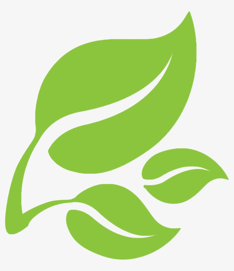 Leaf, transparent png download