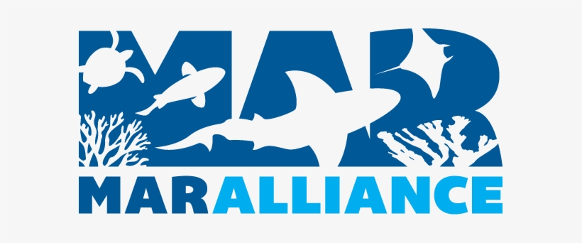 Dr Rachel Graham And Her Team Have Been Using Radio - Maralliance Belize, transparent png download