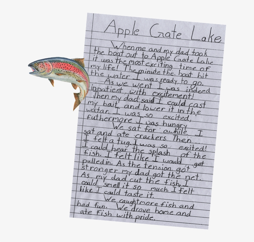 Placeholder Image - Document, transparent png download