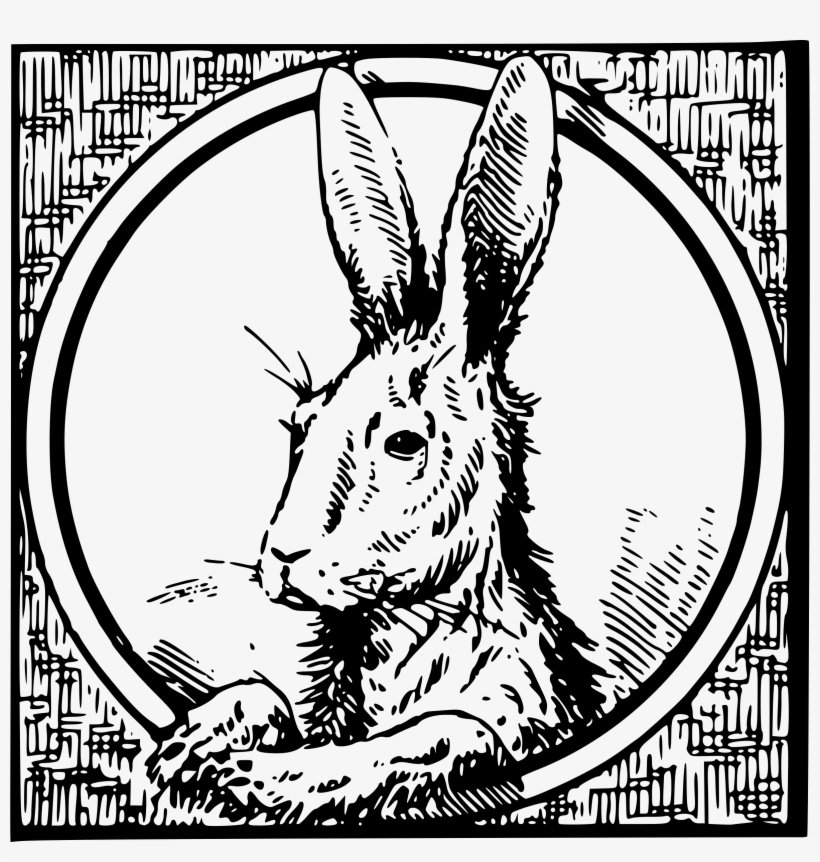 This Free Icons Png Design Of Framed Hare, transparent png download
