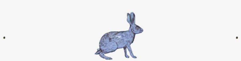 Hare - Portable Network Graphics, transparent png download