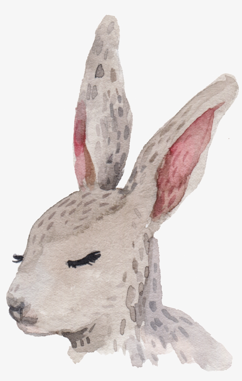 Cartoon Rabbit Png - Rabbit, transparent png download