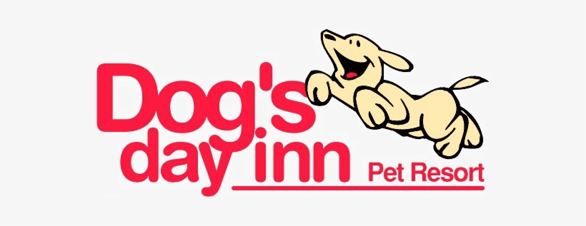 Dog Boarding Katy Tx - Dog, transparent png download