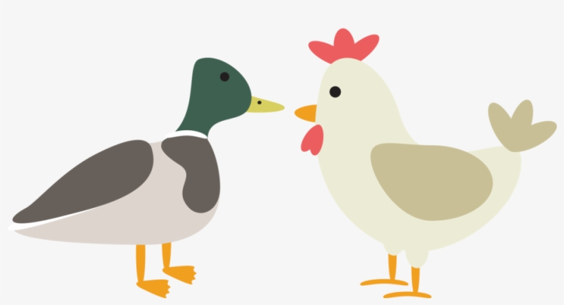 Duck Chicken Feed Website Icon - Sellwood Pet Supply, transparent png download