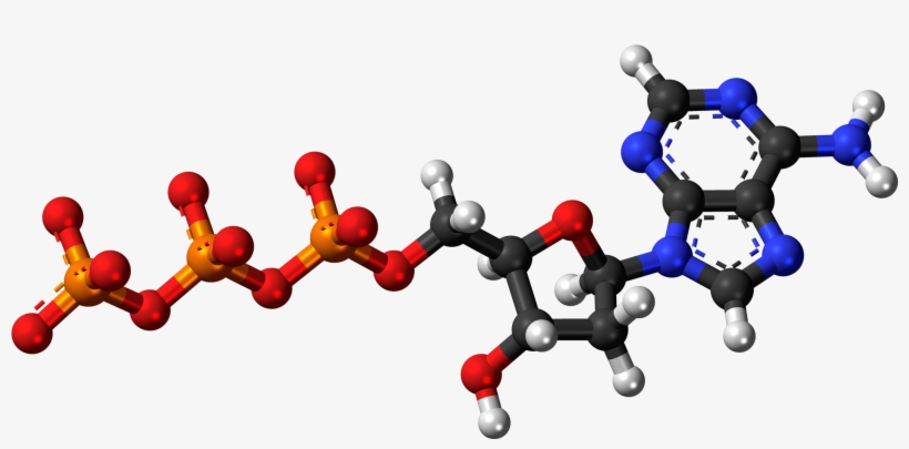 Deoxyadenosine Triphosphate Anion 3d Balls - Adenosine Triphosphate Model, transparent png download