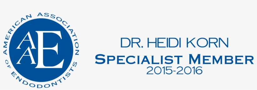 Hgk Aae Logo - American Association Of Endodontics Logo, transparent png download