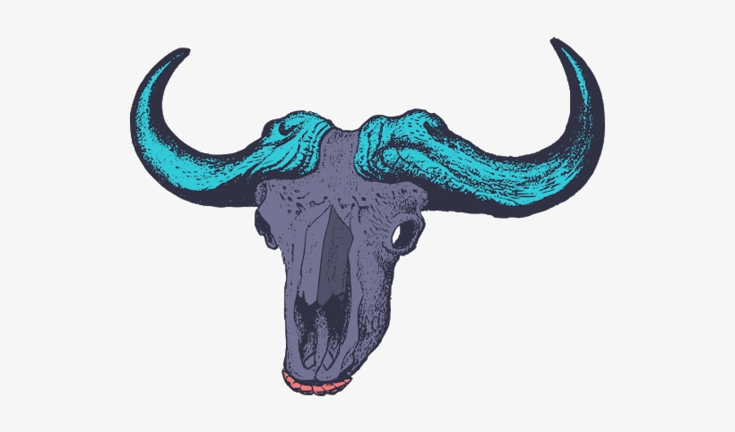 Photo - Bull, transparent png download