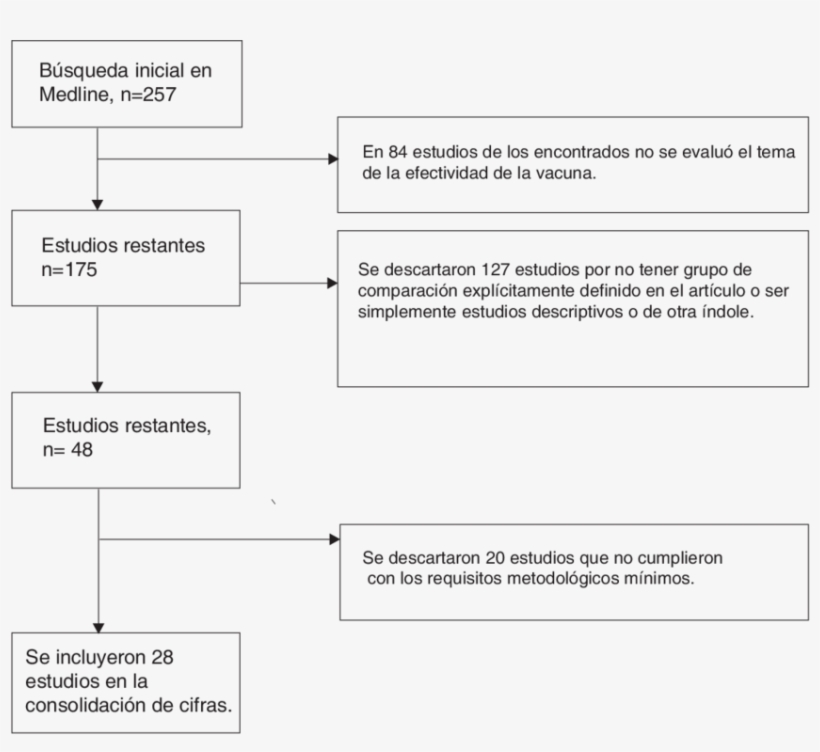 Diagrama De Flujo Del Proceso De Selección De Estudios - Flowchart, transparent png download
