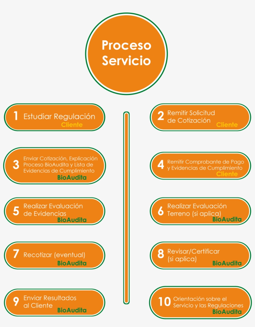 Pasos Proceso Bioaudita - Lograr Un Servicio Eficiente, transparent png download