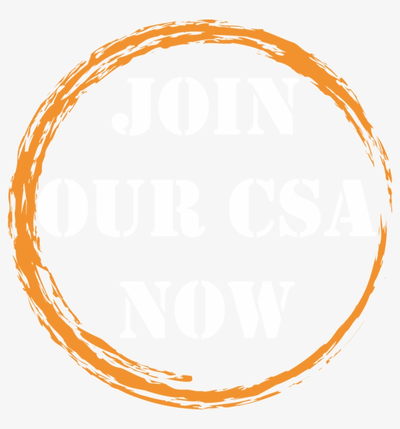 On A Human Scale - La-96 Nike Missile Site, transparent png download