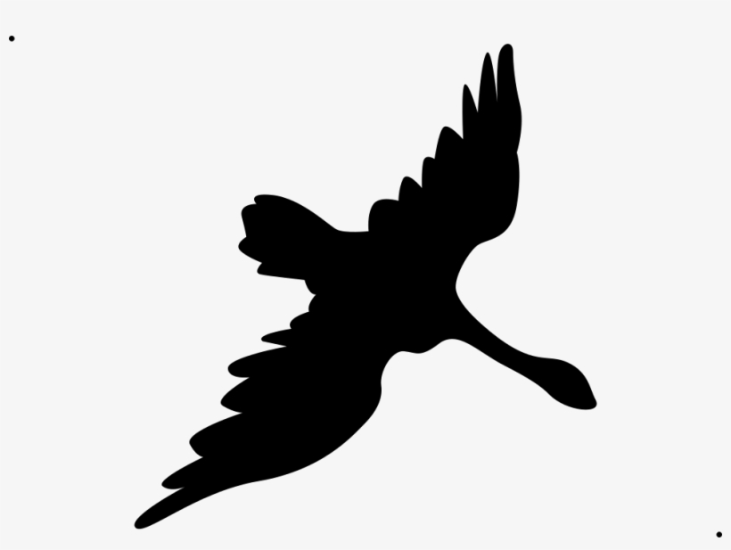 Png File - Accipitridae, transparent png download