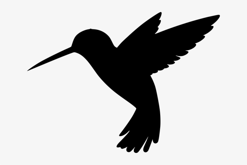 Humming Birds Clip Art, transparent png download