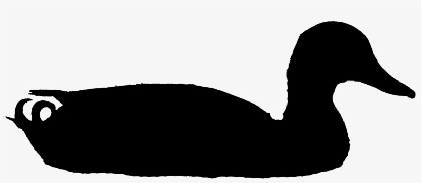 Mallard Male Clo, Tompkins Co, Ny 21jan10 Kjm8814-2 - New York, transparent png download