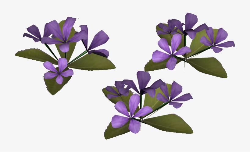 Britton's Wild Petunia - Periwinkle, transparent png download
