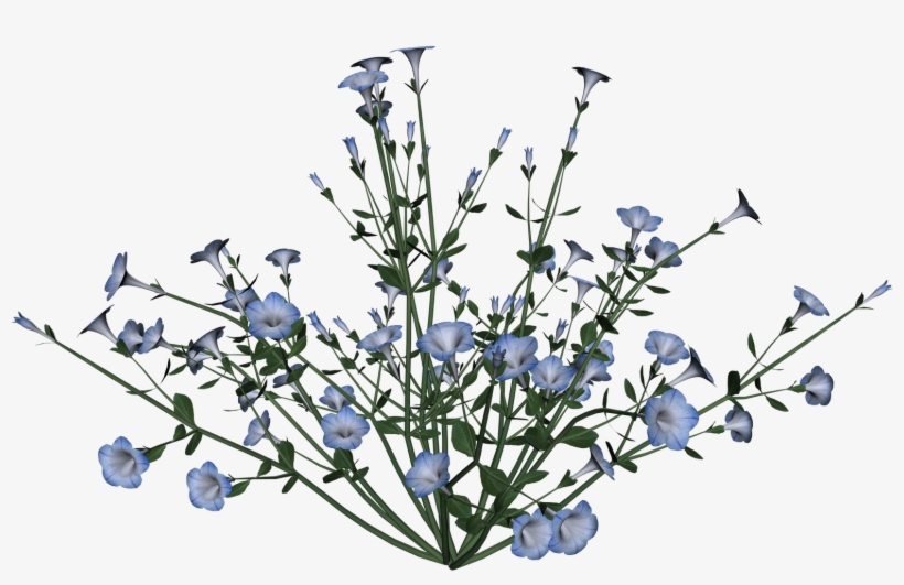 Free Petunia Cliparts, transparent png download