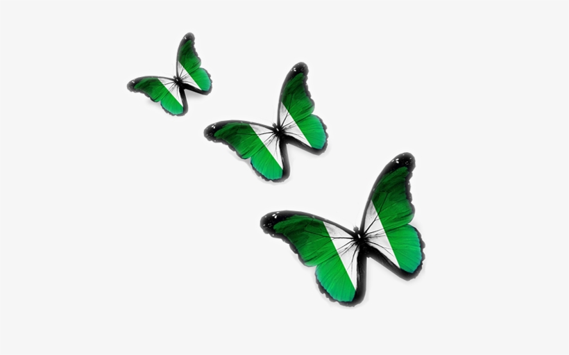- Ng Domains - Happy Birthday And Viva Mexico, transparent png download