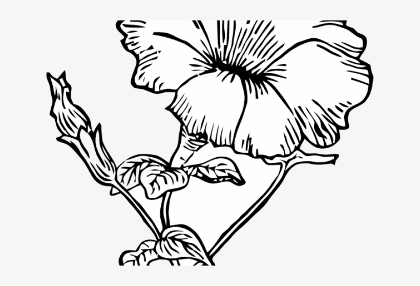 Petunia Clipart Black And White - Petunia Clip Art, transparent png download