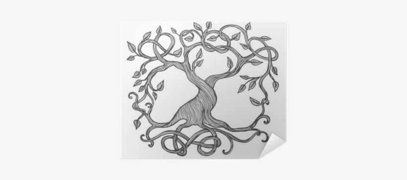 Masso Antico Fiano, transparent png download
