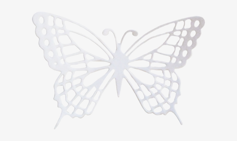 Paper, transparent png download