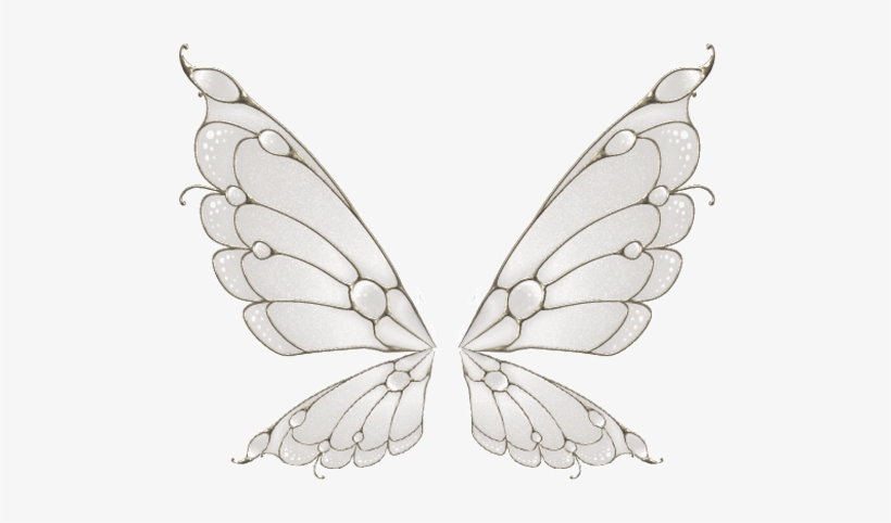 Related Wallpapers - Portable Network Graphics, transparent png download