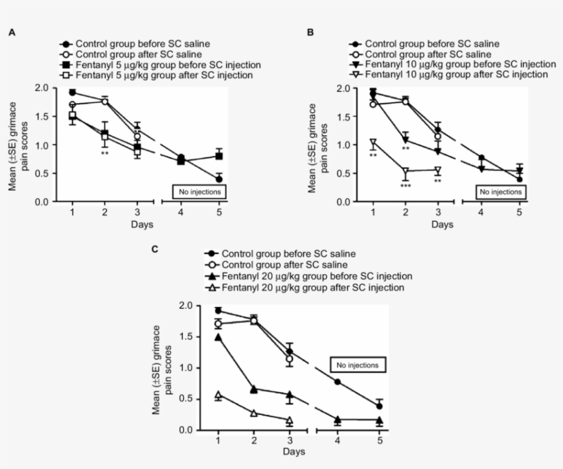 Grimace Pain Scores For Saline And Fentanyl Treatment - Diagram, transparent png download