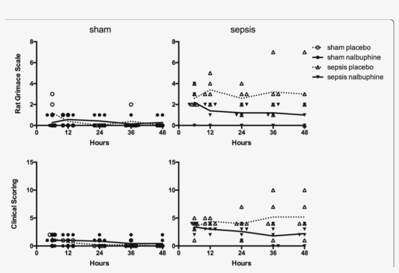 Rat Grimace Scale And Clinical Scoring Over Time - Septic Rats, transparent png download