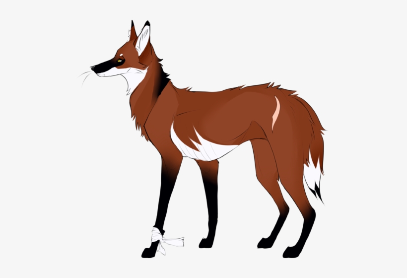 File - Beanstalk - Red Wolf, transparent png download