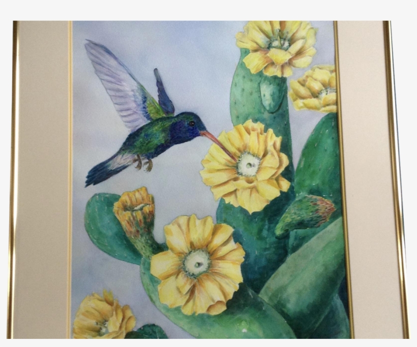 E S Jenkins, Hummingbird Drinking From A Yellow Cactus - Watercolor Painting, transparent png download