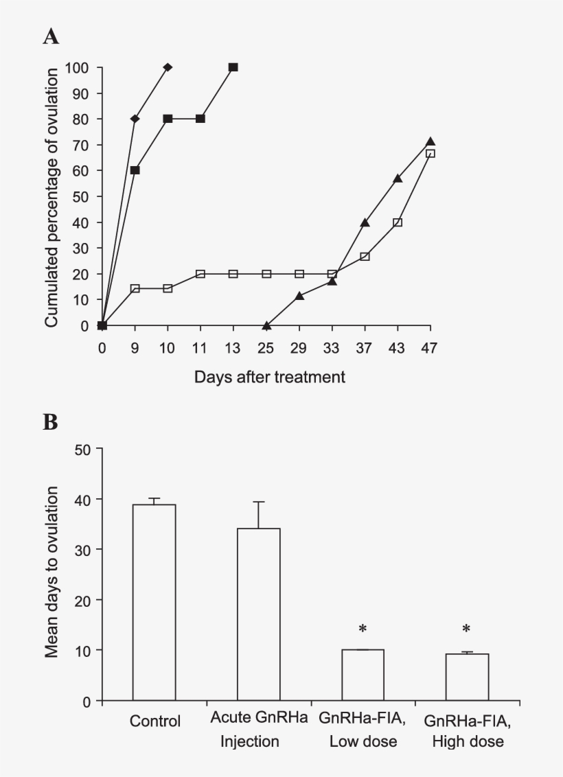 The Effect Of Gnrha And Gnrha-fia Injections On Ovulation - Protein, transparent png download